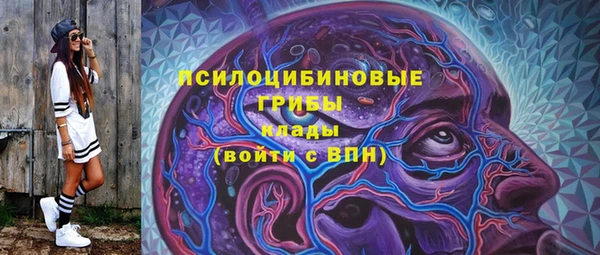 гидропоника Струнино