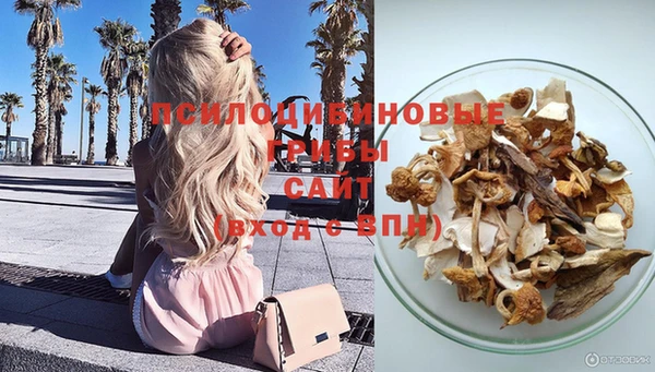 мет Богданович