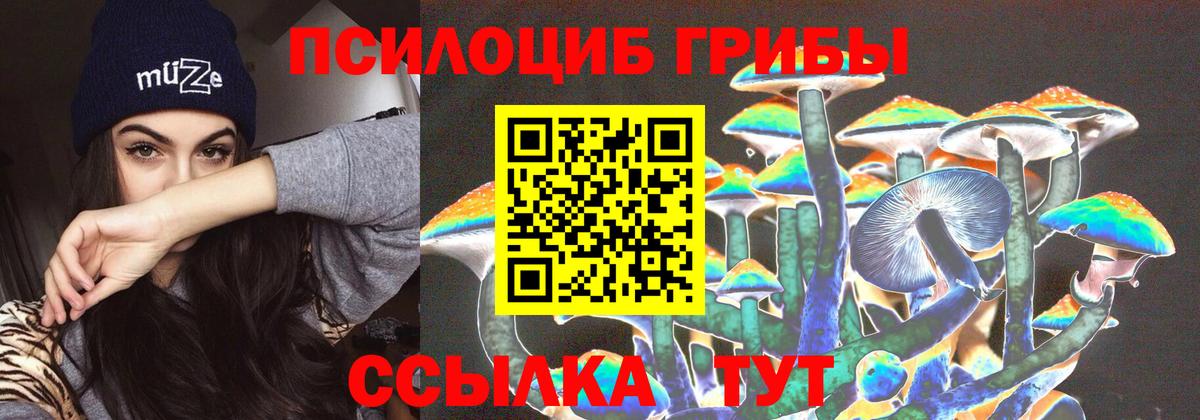 Псилоцибиновые грибы Psilocybine cubensis  Вход с VPN  Феодосия 