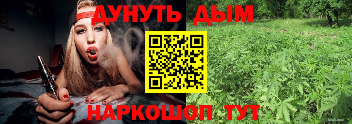 Конопля планчик  Марихуана тримм  Вход с VPN  МАРИХУАНА Amnesia  Феодосия 